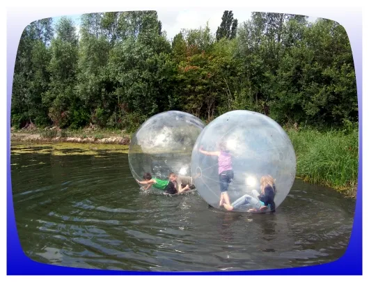 Bulles aquatiques